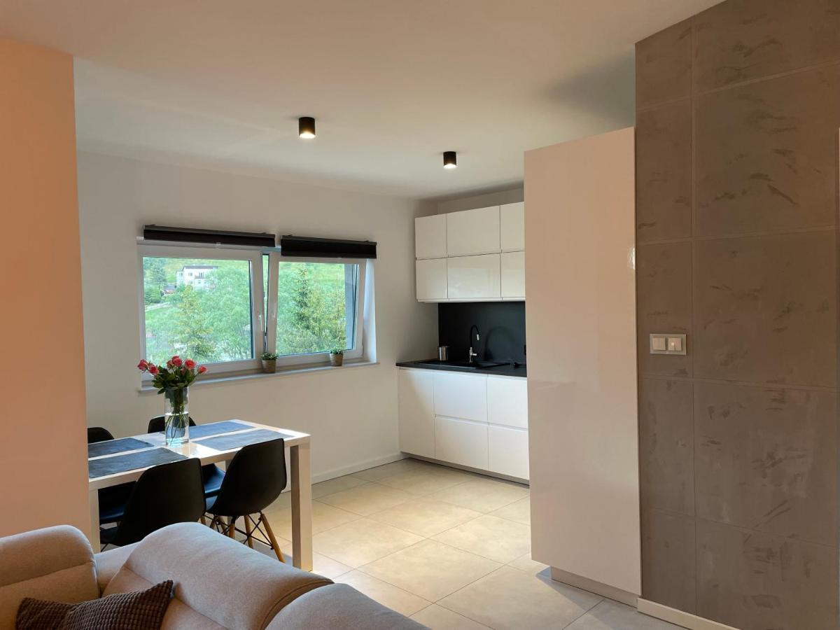 Apartament z klimatem II Wisła Exterior foto